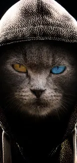 Mystical cat with vibrant eyes in a hoodie on dark background.