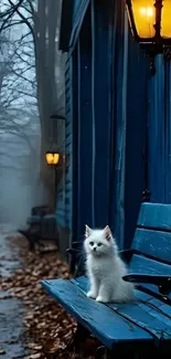 White cat on a blue bench in a foggy setting.