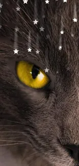 Close-up of a mystical cat with glowing yellow eyes and starry background.