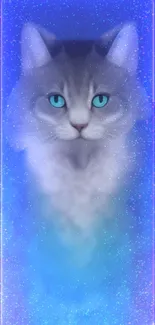 Mystical cat with glowing blue eyes and a starry background wallpaper.