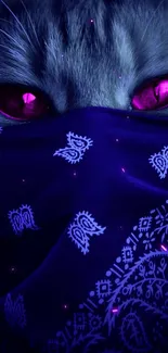 Mystical cat with pink eyes and bandana on dark blue background.