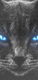 Mystical cat with blue eyes on black background wallpaper.