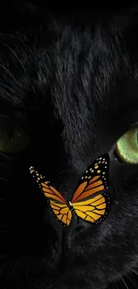 Black cat with green eyes and butterfly on its nose.