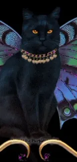 Black cat with butterfly wings and jeweled necklace on a dark background.