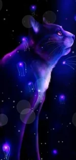 Mystical cat with glowing jellyfish in vibrant nightscape.