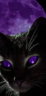 Mystical purple-eyed cat with moon background.