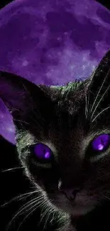 Mystical cat with glowing purple eyes and moon.