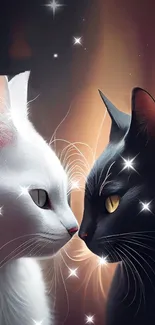 Mystical black and white cats with stars in a cosmic background.