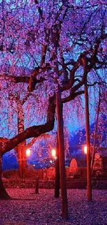 Twilight cherry blossom garden with lanterns and vibrant colors.