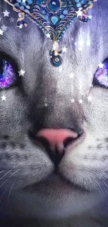 A cat with cosmic eyes and ornate headpiece, set against a blue galaxy background.