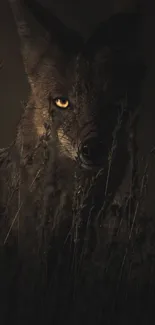 Dark coyote hidden in grass mobile wallpaper