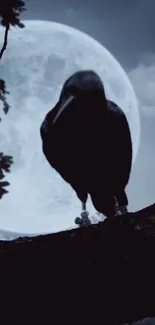 Crow on branch with full moon in background, creating a mystical effect.