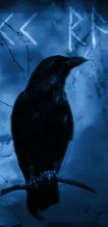 Mystical crow with runes on dark blue wallpaper.