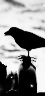 Black crow silhouette against cloudy sky.