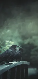 Two crows sit on a foggy wooden bridge in a dark, mysterious forest.