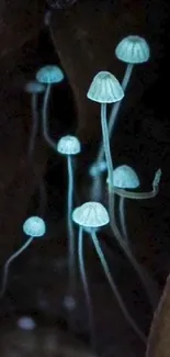 Cyan mushrooms nestled among brown leaves, creating a mystical and natural ambiance.