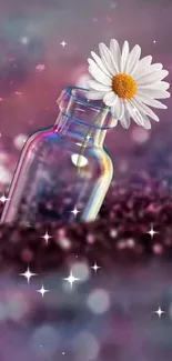 Daisy in glass bottle with bokeh background wallpaper.