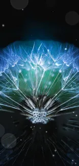 Ethereal glowing dandelion with blue hues on a dark background.