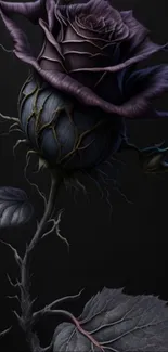 Dark mystical rose with intricate details.