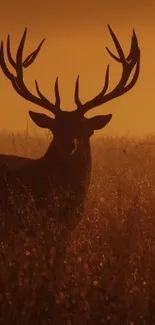 Silhouette of a deer against an orange sunset.