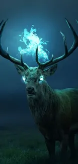 Mystical deer with glowing antlers in a dark, enchanting forest scene.