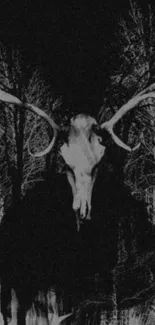 Gothic deer skull silhouette in a dark forest background.