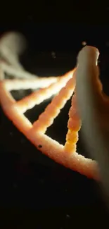 3D rendering of a glowing DNA helix on a dark background.
