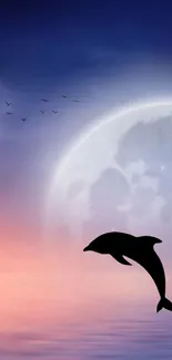 Silhouette of a dolphin under a mystical moonlit night sky.