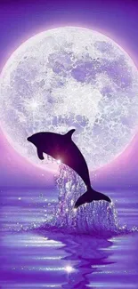 Dolphin silhouette in purple moonlit ocean