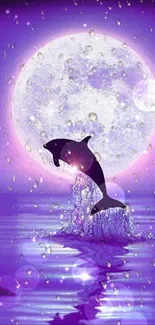 Dolphin jumping in purple moonlit ocean wallpaper.