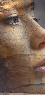 Artistic image of a face blending with cracked earth textures.