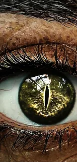 Close-up of a mystical eye with reptilian features and a golden iris.