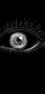 Mystical eye illustration on black background.