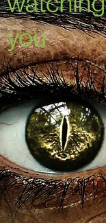 Close-up of an eye with a mystical and reptilian appearance.