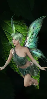 Mystical fairy with green wings on leaf background.