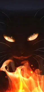 A mystical cat with fiery eyes on a dark wallpaper background.