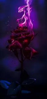 Dark wallpaper featuring a fiery rose with purple flames.