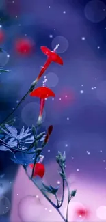 Vibrant red flowers against a mystical blue night sky with dreamy effects.