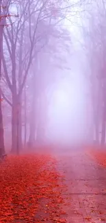 Foggy forest path with red leaves.