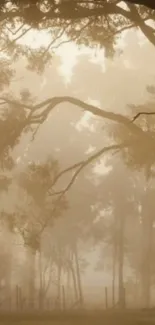 Foggy forest landscape with trees silhouetted in brown mist.