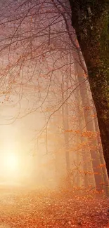 Mystical forest scene with sunrise and autumn leaves in warm hues.