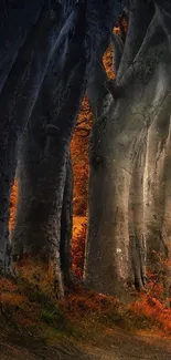 Gray tree trunks with orange autumn foliage in a mystical forest setting.