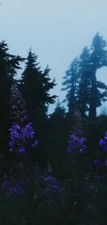 Mystical forest with purple blooms under a blue sky.