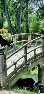 Scenic mystical forest bridge with crows and raindrops, perfect for nature enthusiasts.