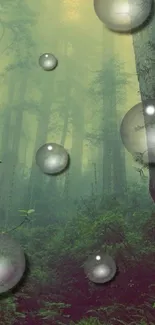 Mystical forest with bubbles floating amidst the trees in a serene green atmosphere.