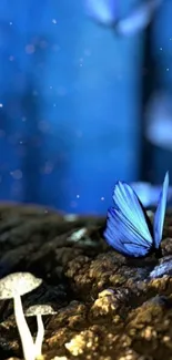 Blue butterfly and mushrooms in mystical forest scene.