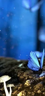 Blue butterfly on a mystical forest floor with glowing mushrooms.