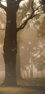 Mystical forest at dawn with trees and glowing light.