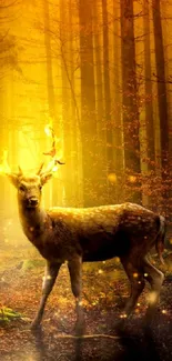 Deer with glowing antlers in a mystical forest with golden light.