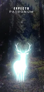 Glowing deer in mystical forest wallpaper with magical ambiance.